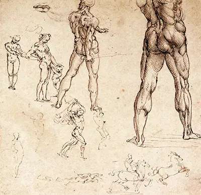 Anatomical Studies (Anatomische studies) Leonardo da Vinci